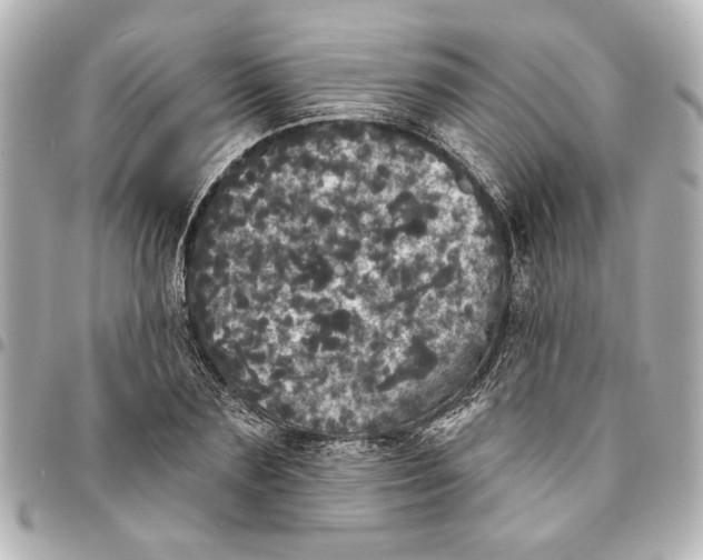 X0000095510883200712281435