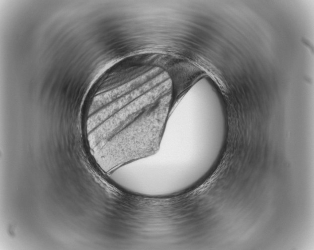 X0000095510884200712281435