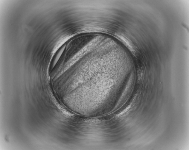 X0000095510885200712281435