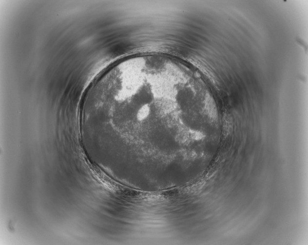X0000095510886200712281435