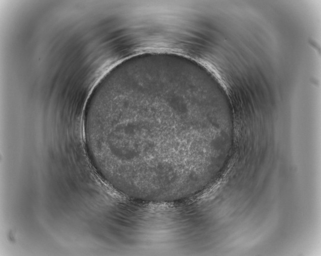 X0000095510887200712281435