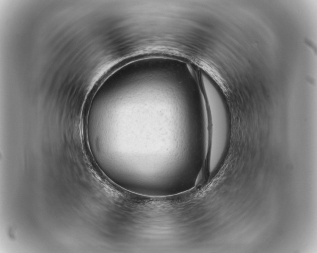 X0000095510888200712281435