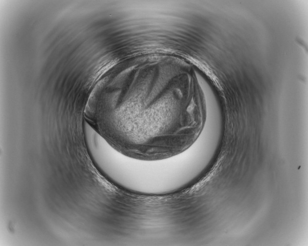 X0000095510889200712281435