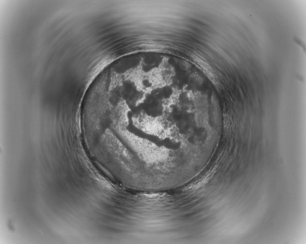 X0000095510891200712281435