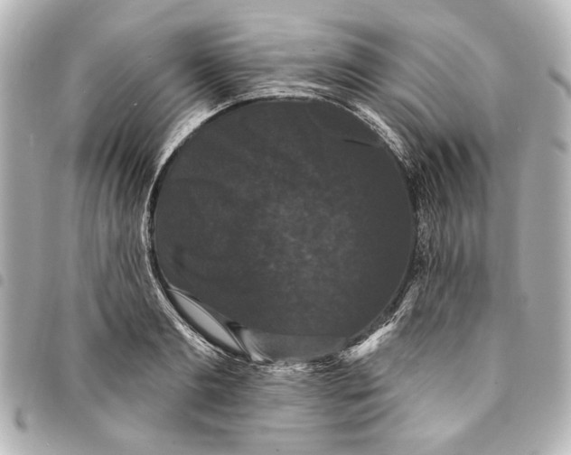 X0000095510893200712281435