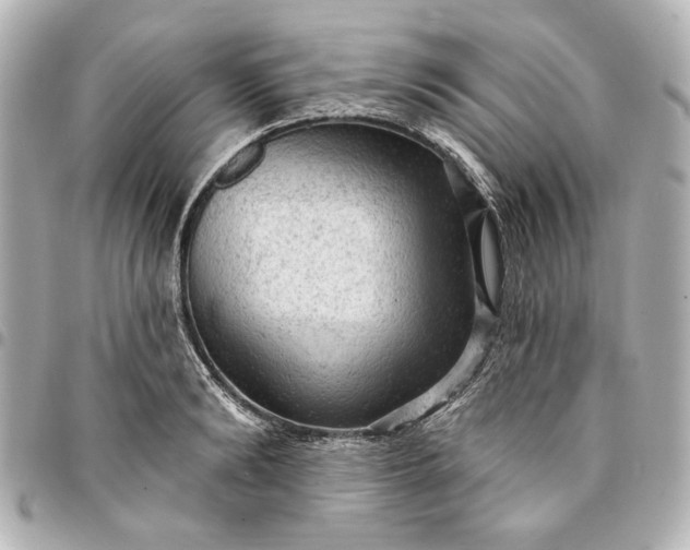 X0000095510894200712281435