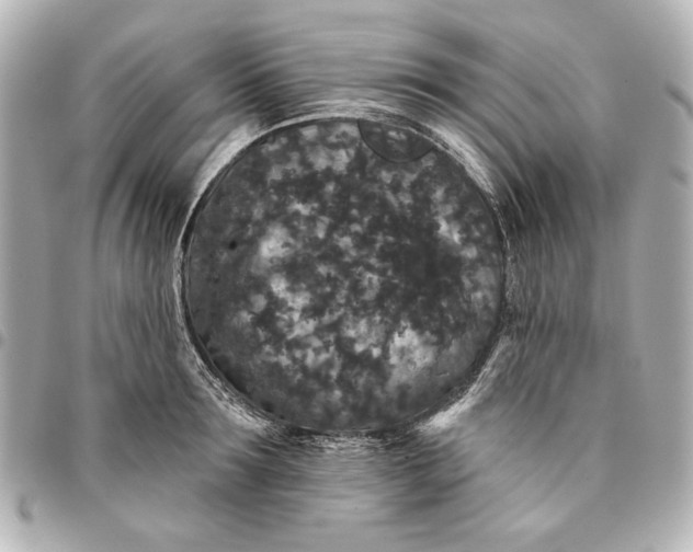 X0000095510899200712281435