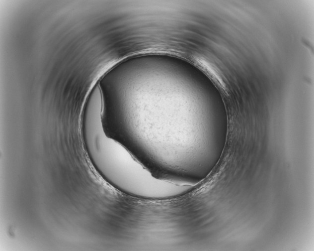 X0000095510900200712281435