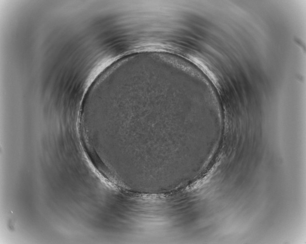 X0000095510901200712281435