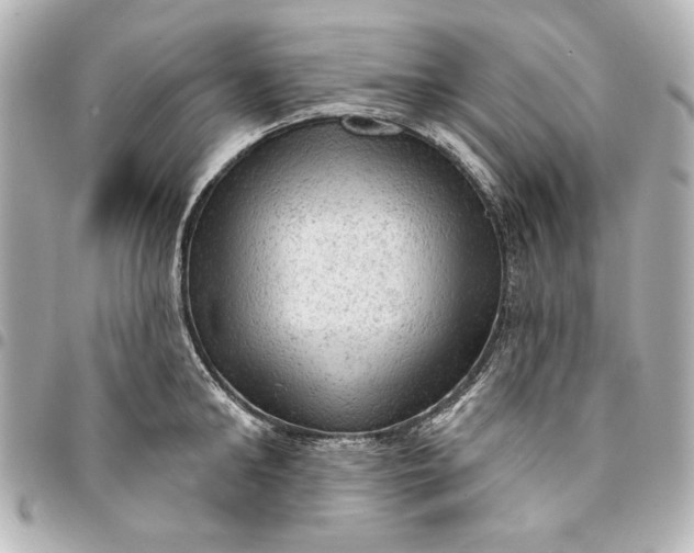 X0000095510902200712281435