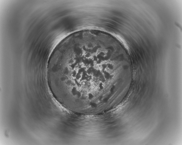 X0000095510903200712281435