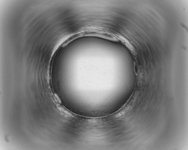 X0000095510904200712281435