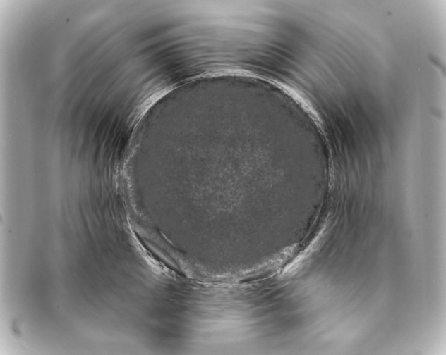 X0000095510905200712281435