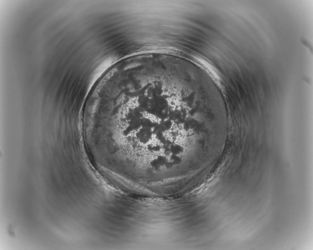X0000095510907200712281435