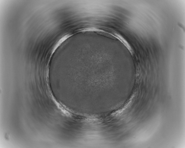 X0000095510909200712281435