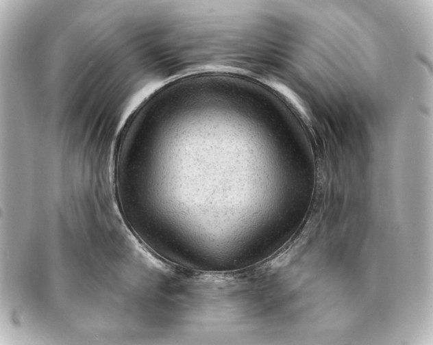 X0000095510910200712281435