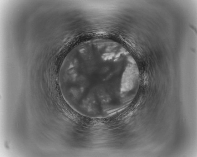 X0000095510913200712281434
