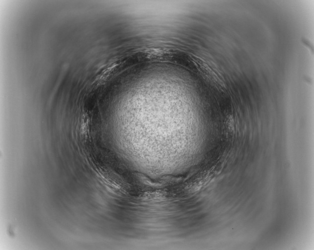 X0000095510914200712281434