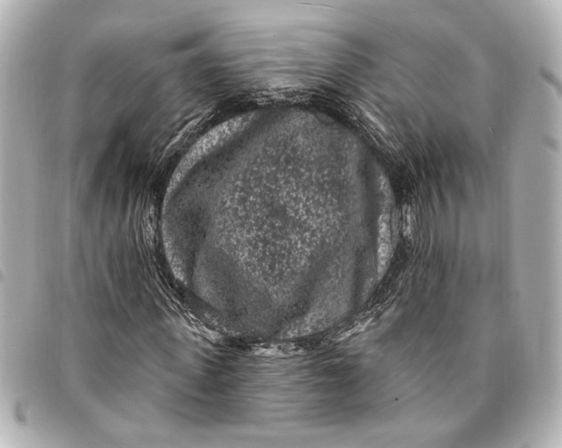 X0000095510915200712281434