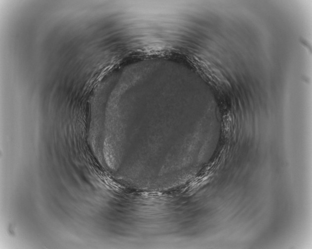 X0000095510916200712281434