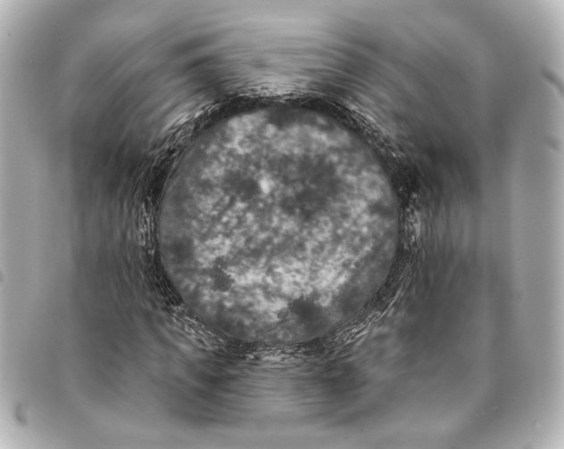 X0000095510917200712281434