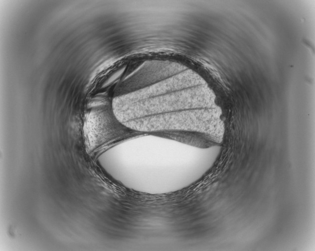 X0000095510920200712281434