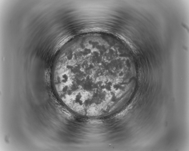 X0000095510921200712281434