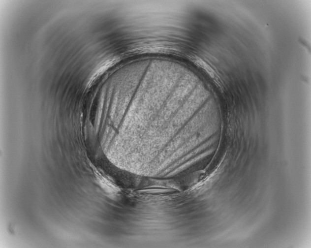 X0000095510922200712281434