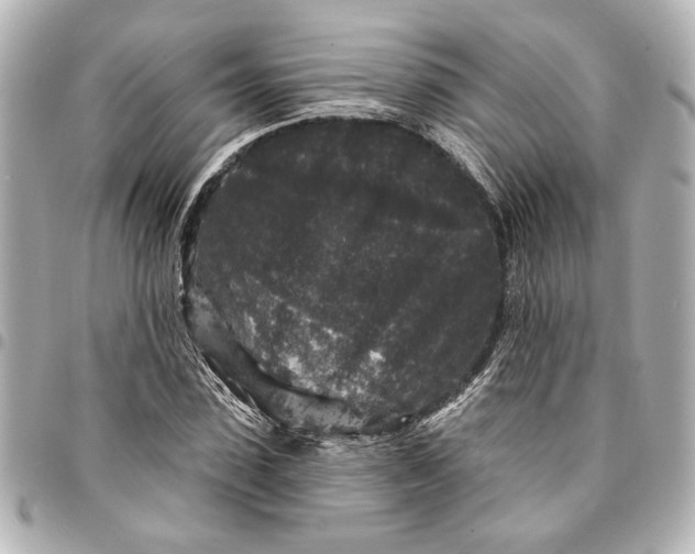 X0000095510923200712281434