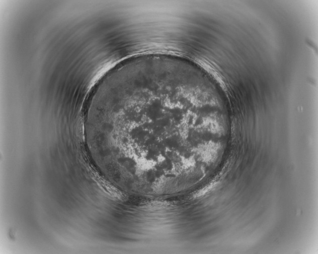 X0000095510925200712281434