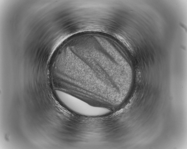 X0000095510926200712281435