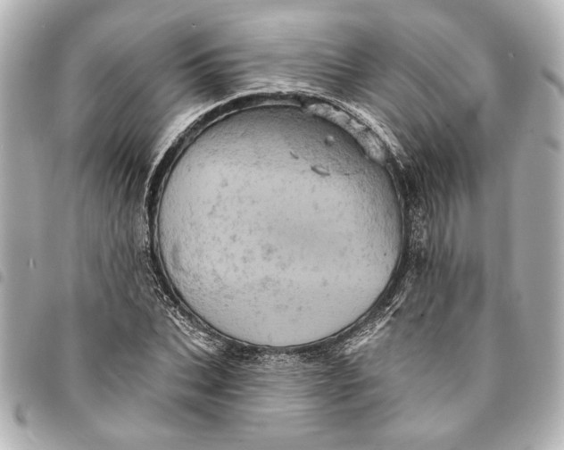 X0000095510927200712281435