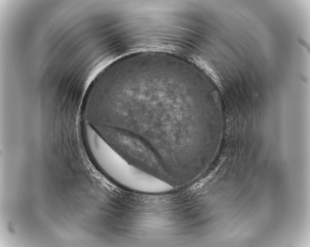 X0000095510928200712281435