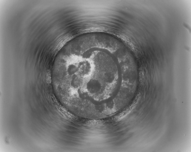 X0000095510929200712281435