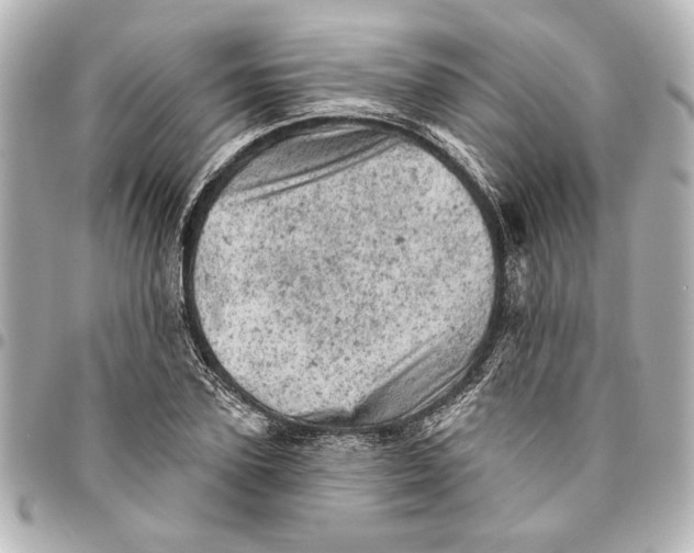 X0000095510931200712281435