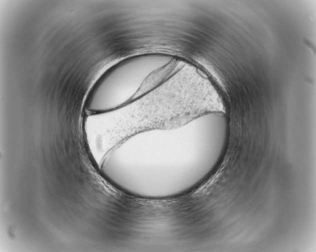 X0000095510932200712281435