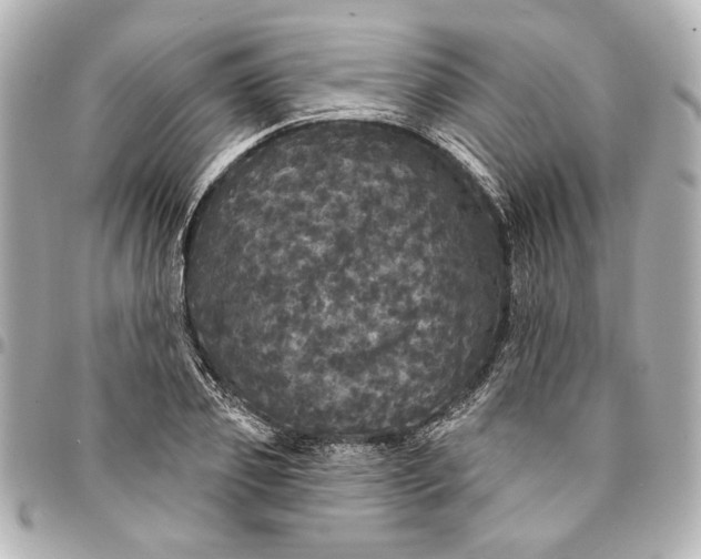 X0000095510933200712281435