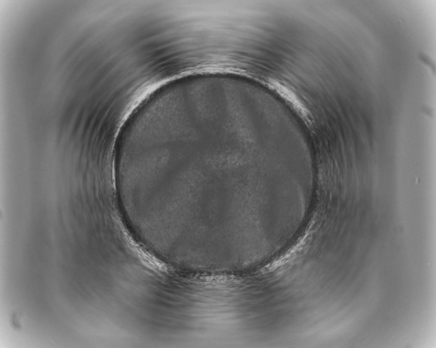 X0000095510934200712281435