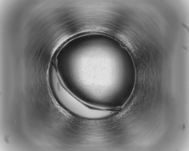 X0000095510936200712281435