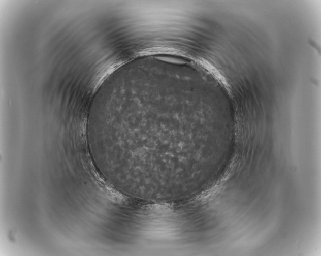 X0000095510937200712281435