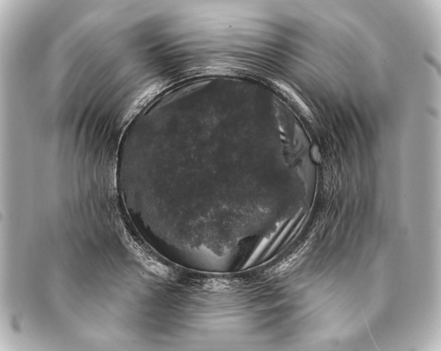 X0000095510938200712281435