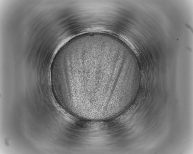 X0000095510939200712281435