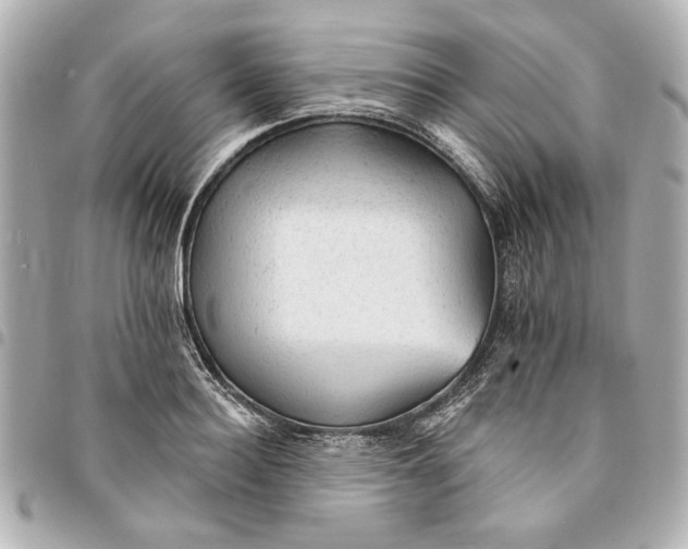 X0000095510940200712281435