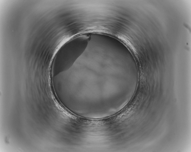 X0000095510941200712281435