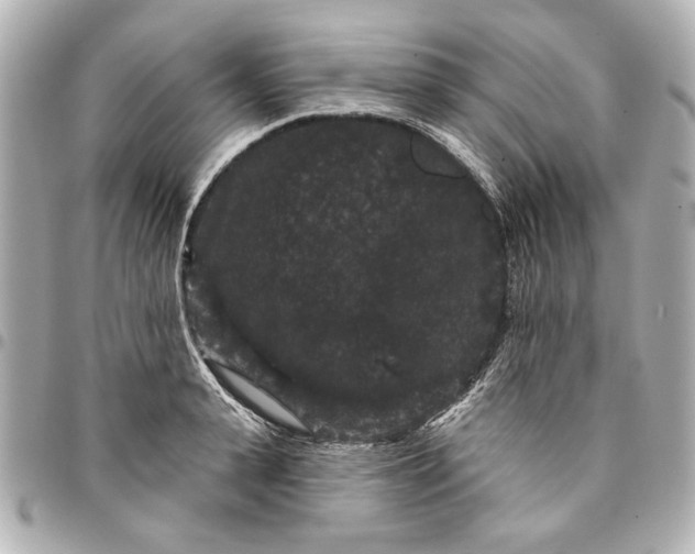 X0000095510943200712281435