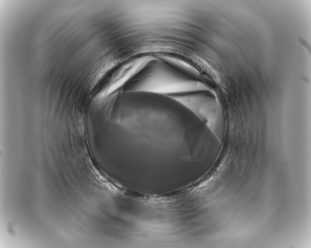 X0000095510945200712281435