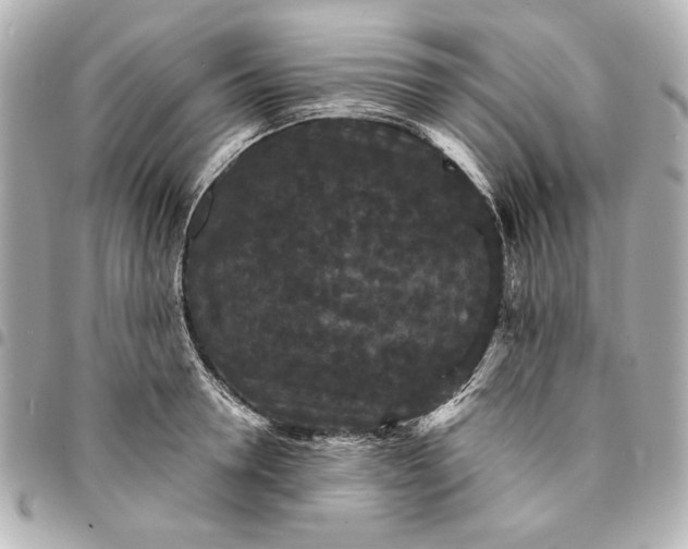 X0000095510946200712281435