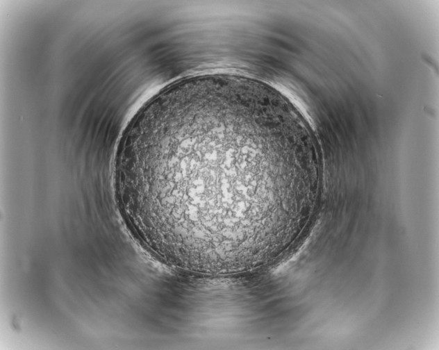 X0000095510949200712281435