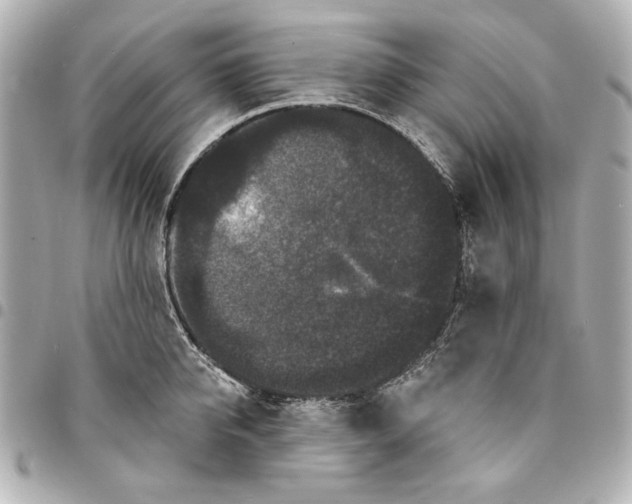 X0000095510950200712281435