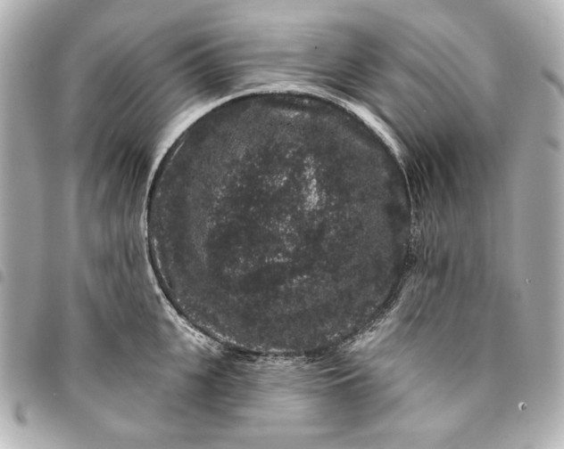X0000095510951200712281435